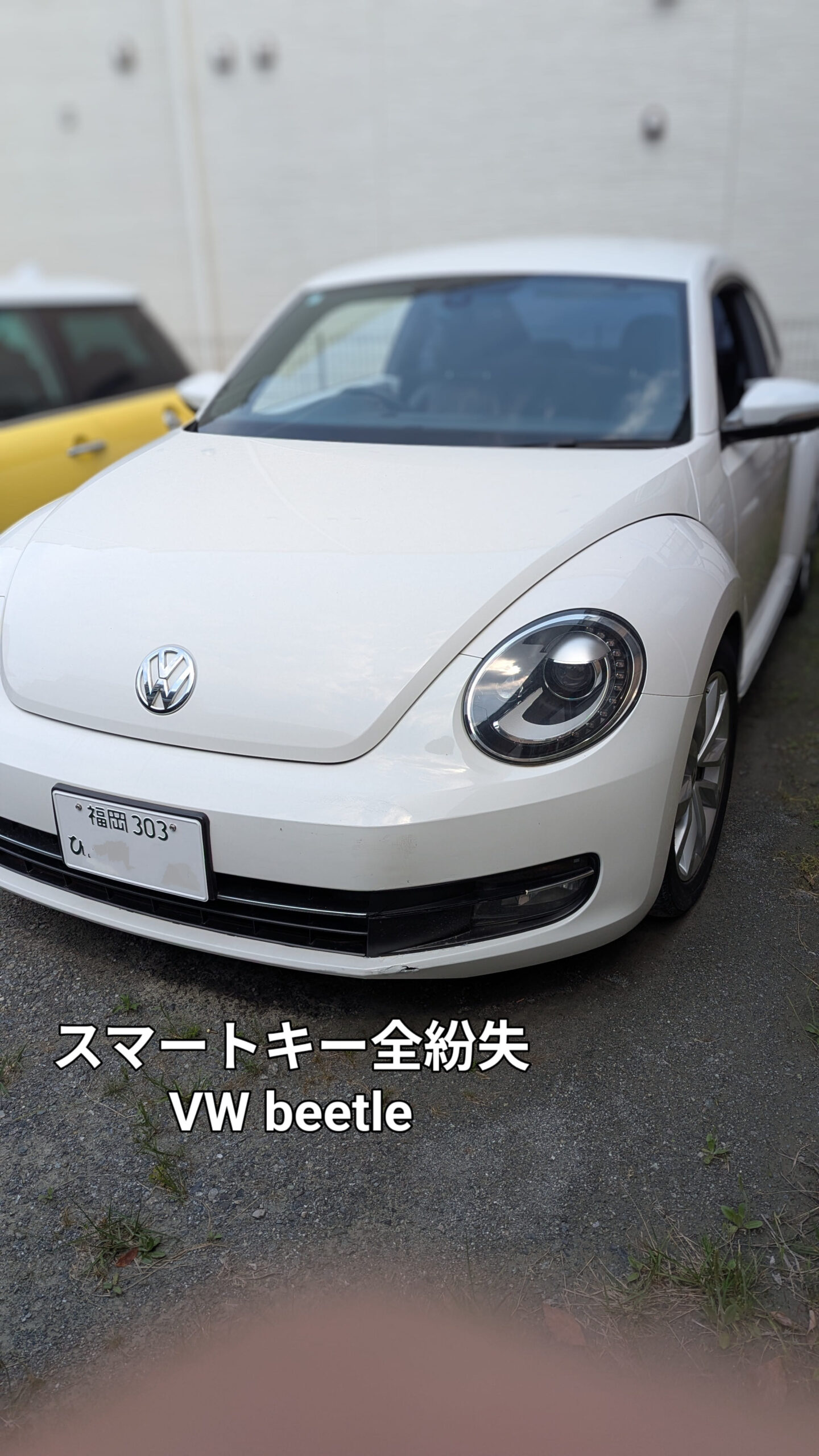 ｖｗ ビートル　全紛失