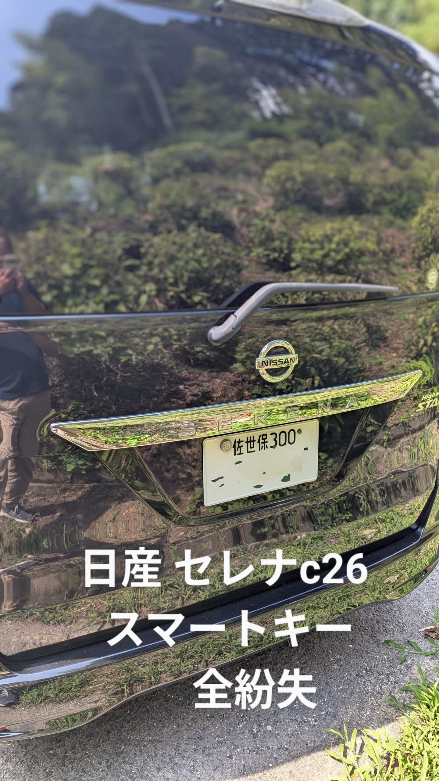 セレナ唐津