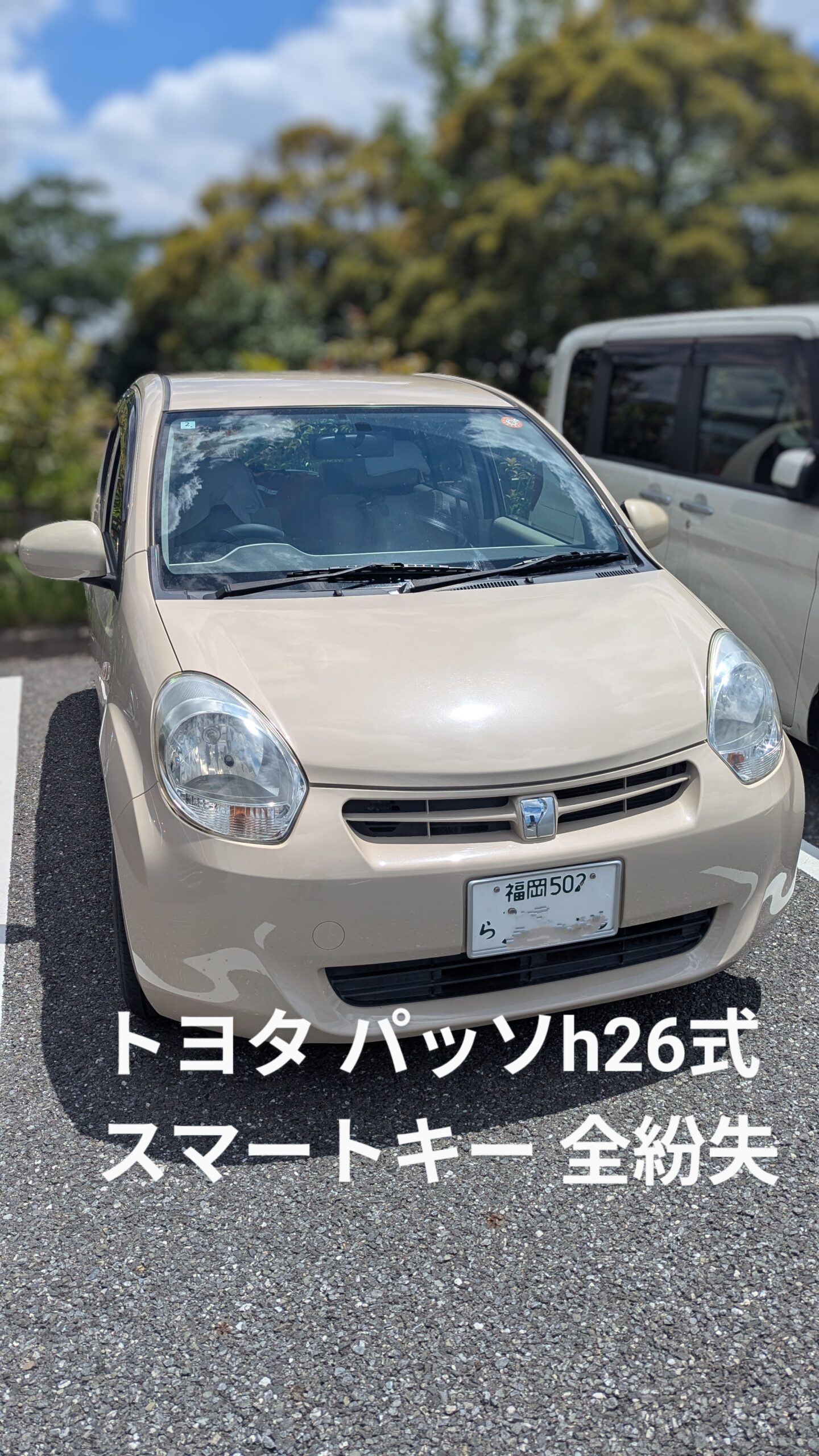パッソアイランドシティ