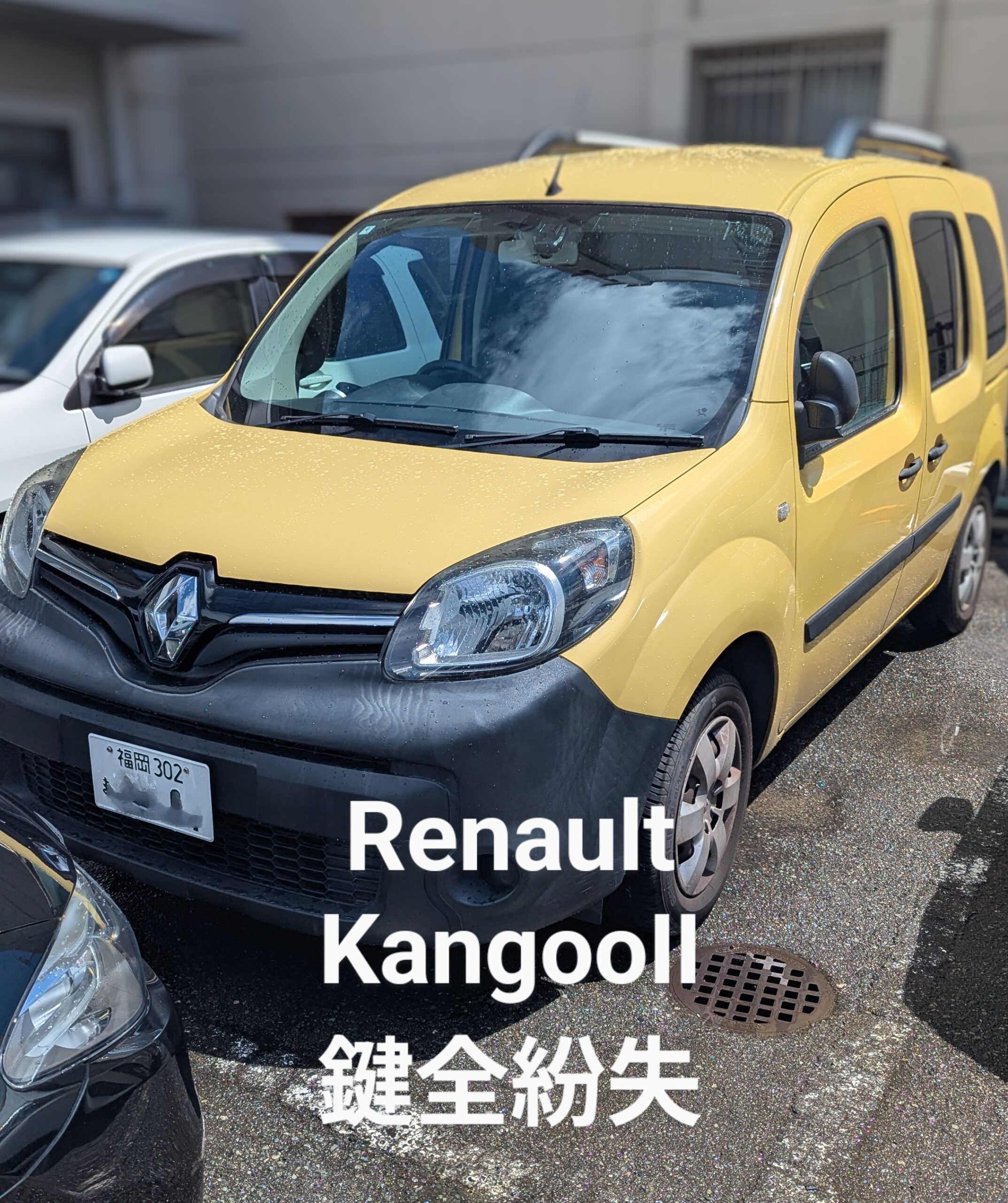 Renault（ルノー）カングー